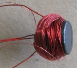 FerretFinderCoil