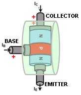 Fig3