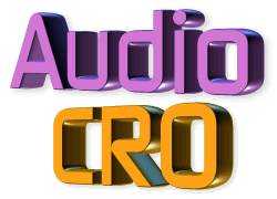 Audio CRO Head